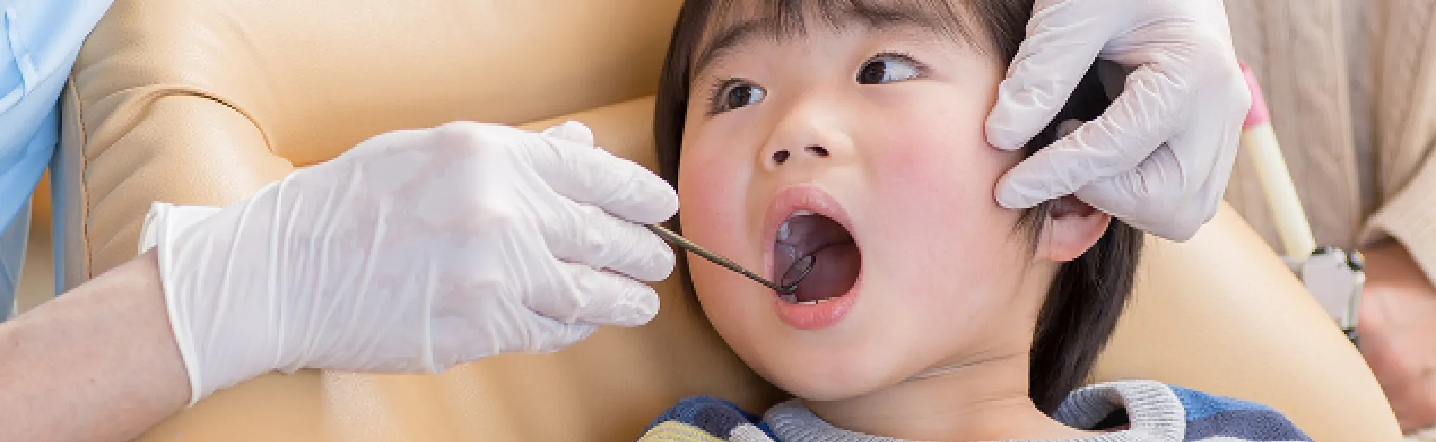 ベテランスタッフがしっかりサポート