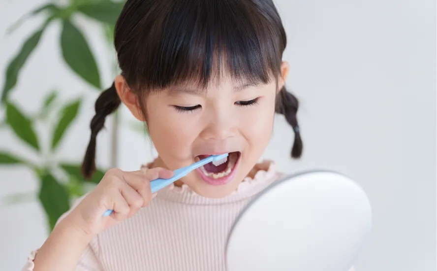 6歳臼歯はむし歯になりやすいので注意しましょう!